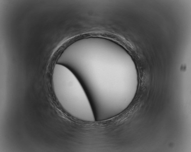 X0000100411400200806060915