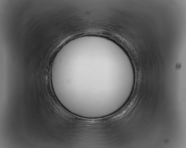 X0000100411401200806060915