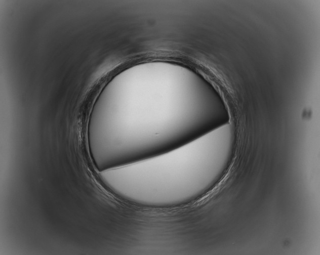 X0000100411402200806060915
