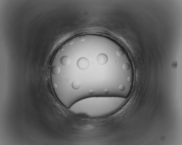 X0000100411405200806060915