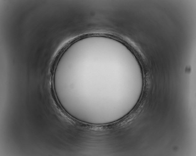 X0000100411408200806060915