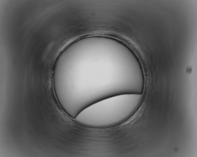 X0000100411409200806060915