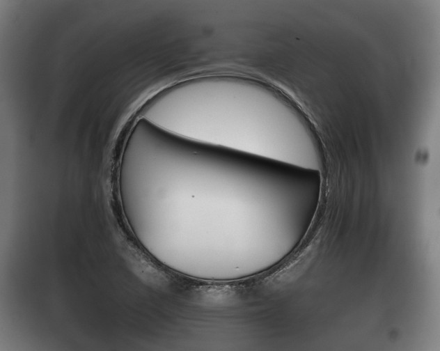 X0000100411410200806060915