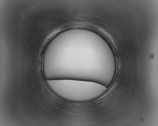 X0000100411411200806060915