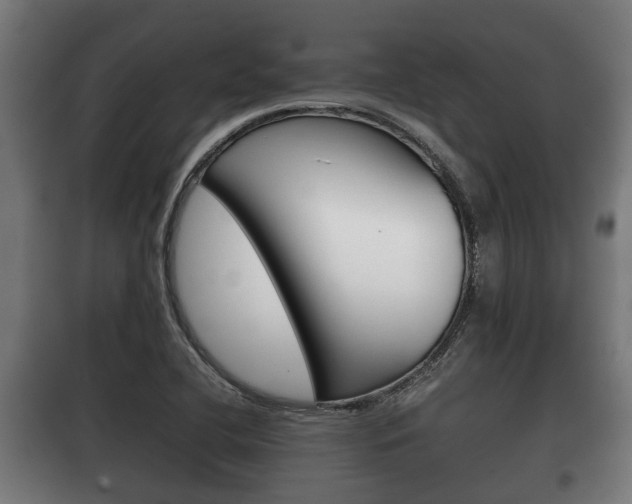 X0000100411412200806060915