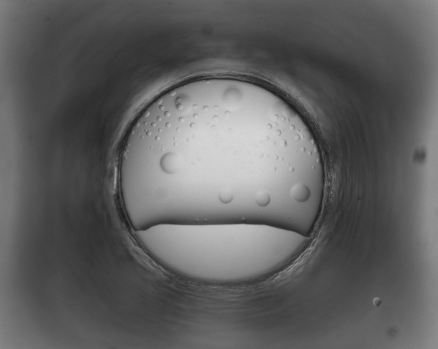 X0000100411413200806060915