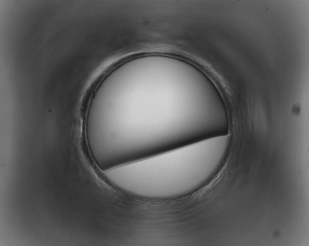 X0000100411414200806060915