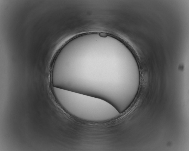 X0000100411415200806060915