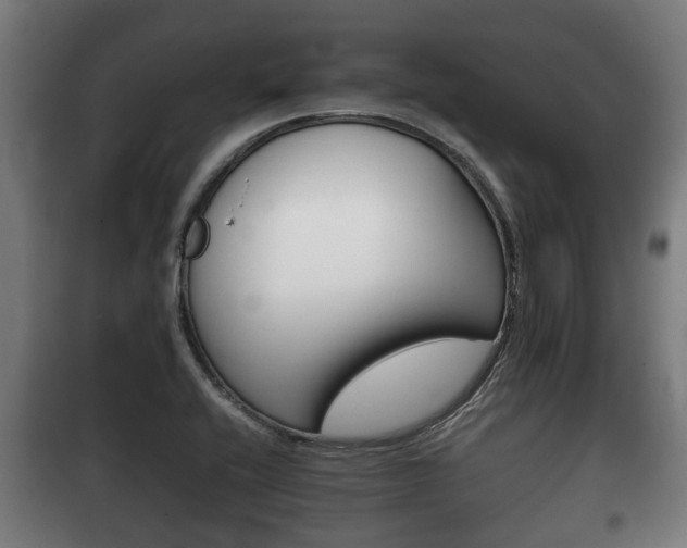 X0000100411416200806060915