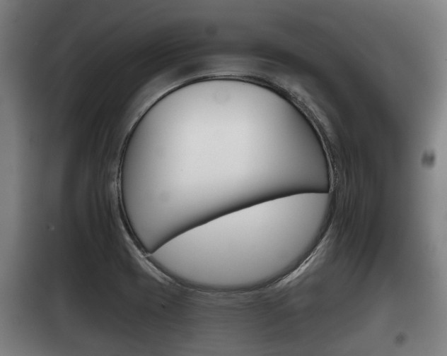 X0000100411417200806060915