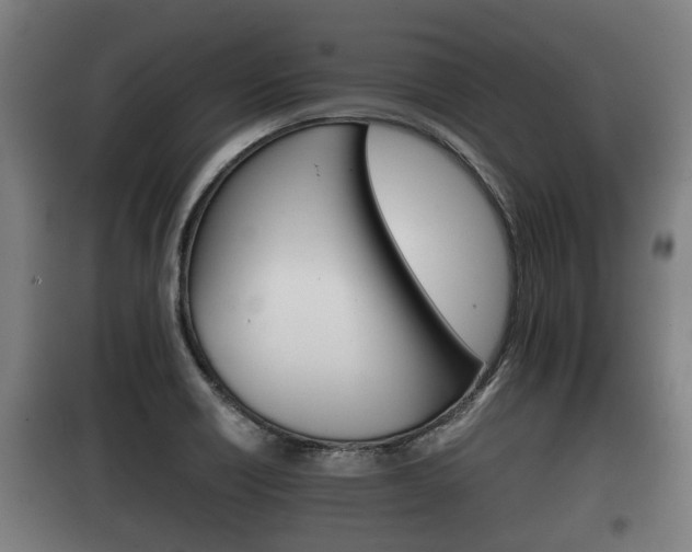 X0000100411418200806060915