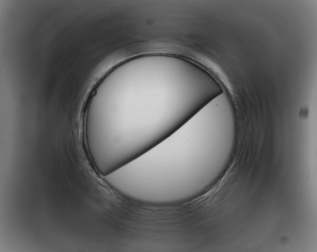 X0000100411419200806060915
