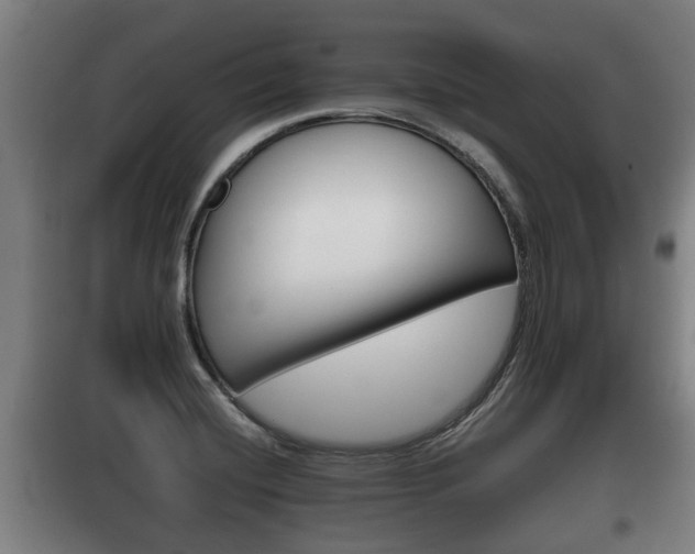 X0000100411420200806060915