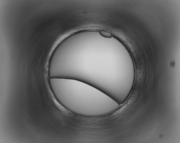 X0000100411421200806060915
