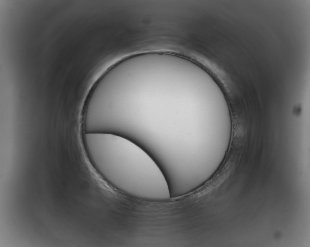 X0000100411423200806060915