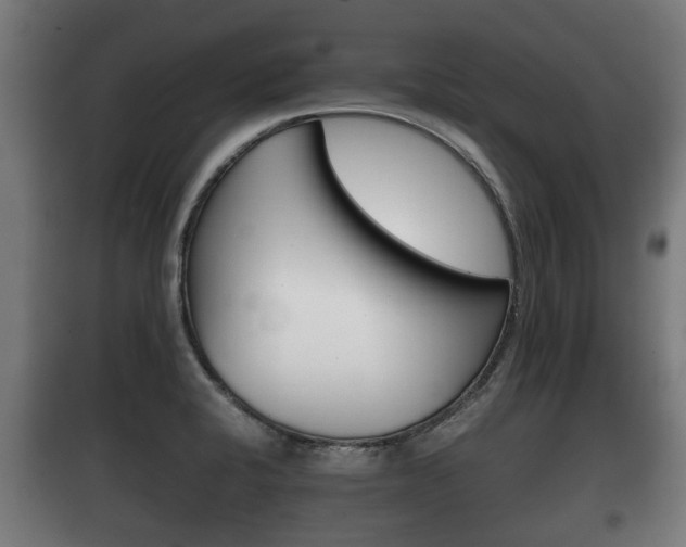 X0000100411424200806060915
