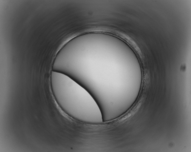 X0000100411425200806060915