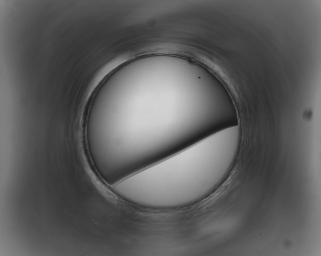 X0000100411426200806060915