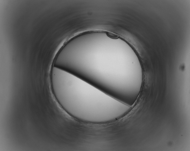 X0000100411428200806060915