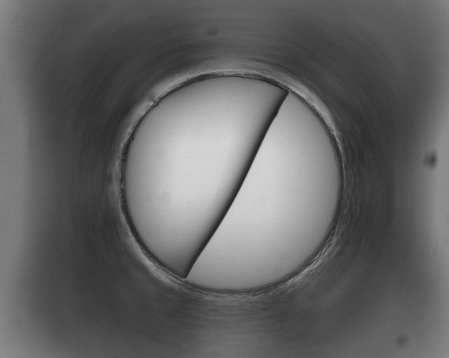 X0000100411429200806060915
