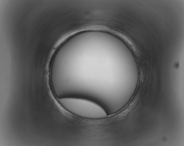 X0000100411430200806060915