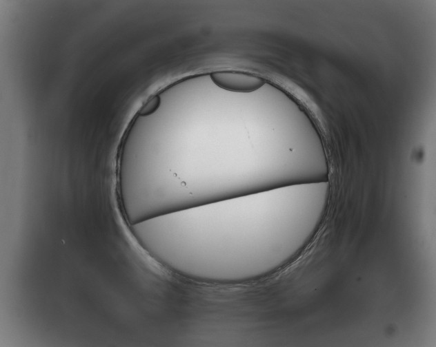 X0000100411431200806060915