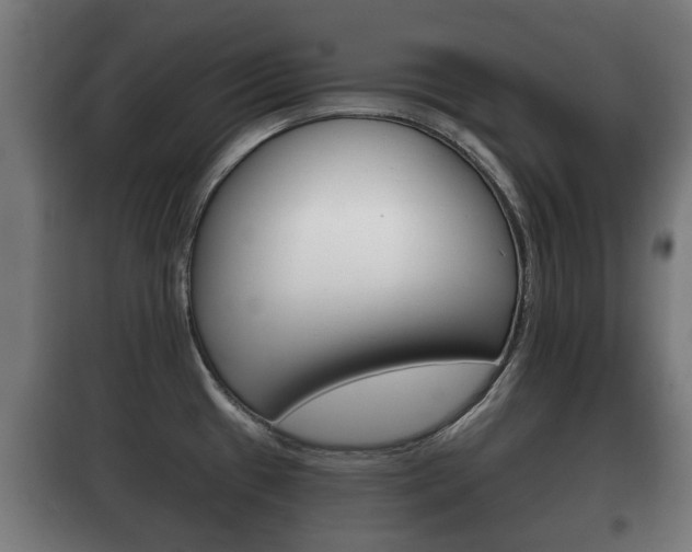 X0000100411433200806060915