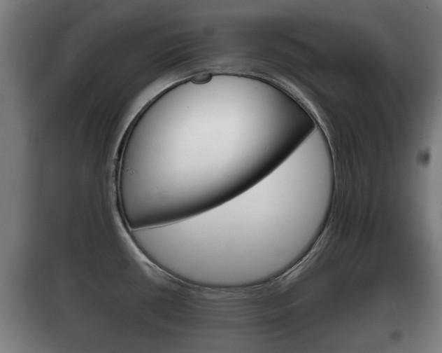 X0000100411434200806060915
