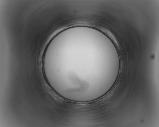 X0000100411435200806060915