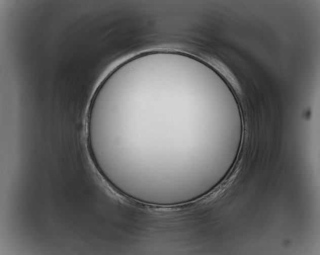 X0000100411436200806060915