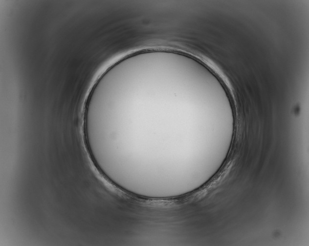 X0000100411437200806060915