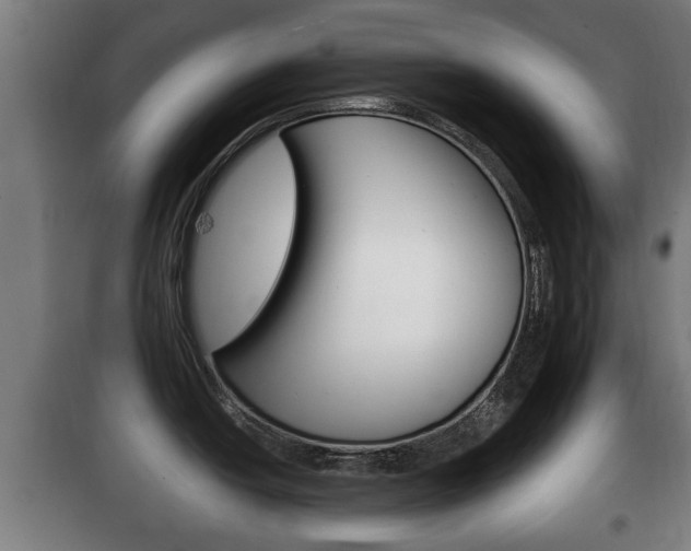 X0000100411438200806060915