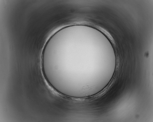 X0000100411439200806060915