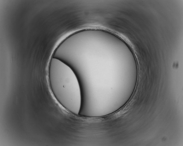 X0000100411440200806060915