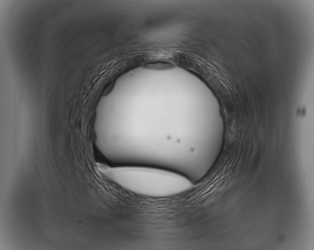 X0000100411441200806060915