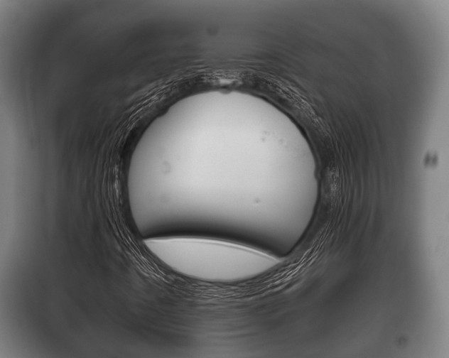 X0000100411442200806060914