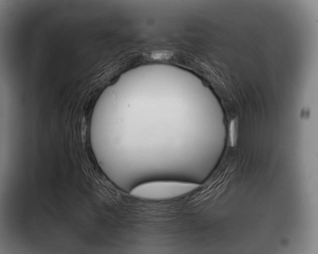X0000100411443200806060914