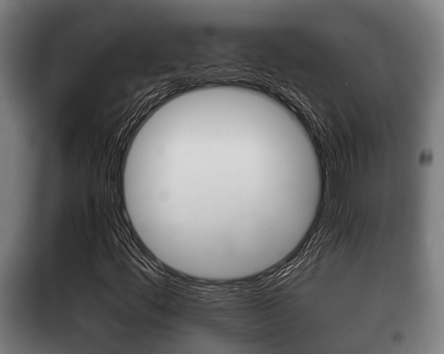 X0000100411444200806060914