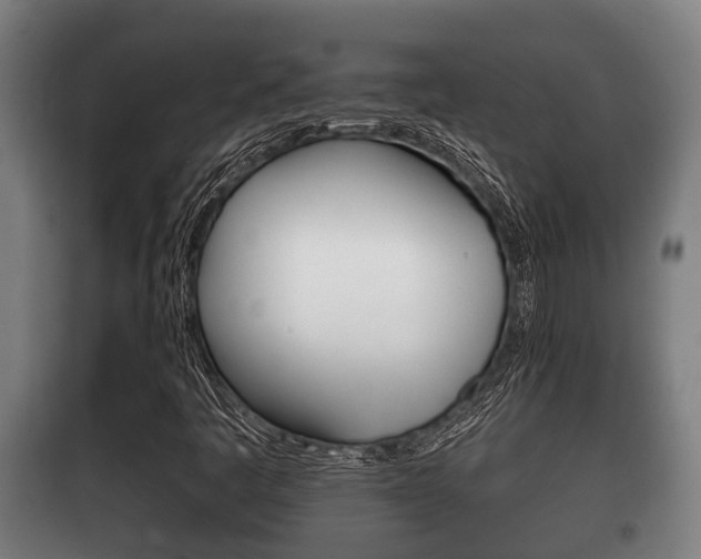 X0000100411445200806060914