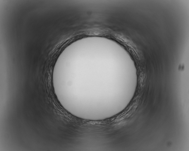 X0000100411446200806060914