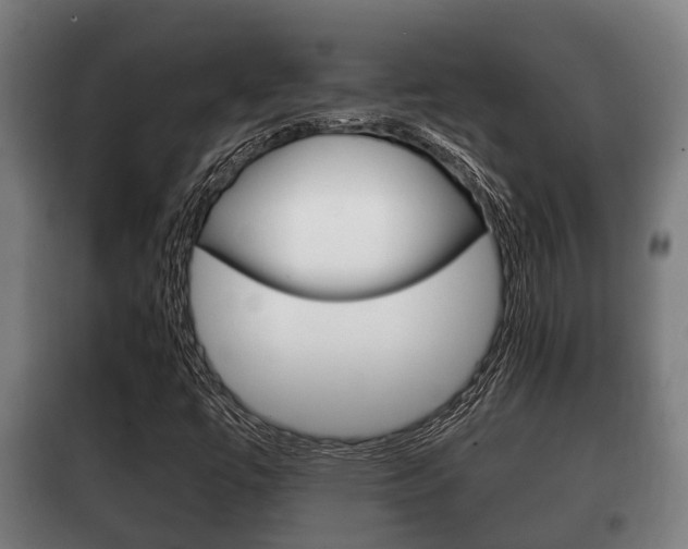 X0000100411447200806060914