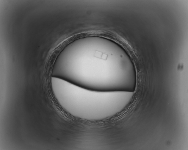 X0000100411448200806060914