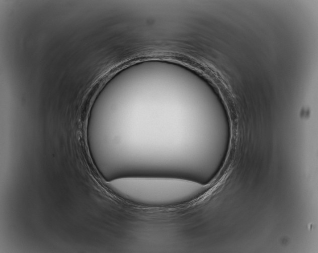 X0000100411449200806060914