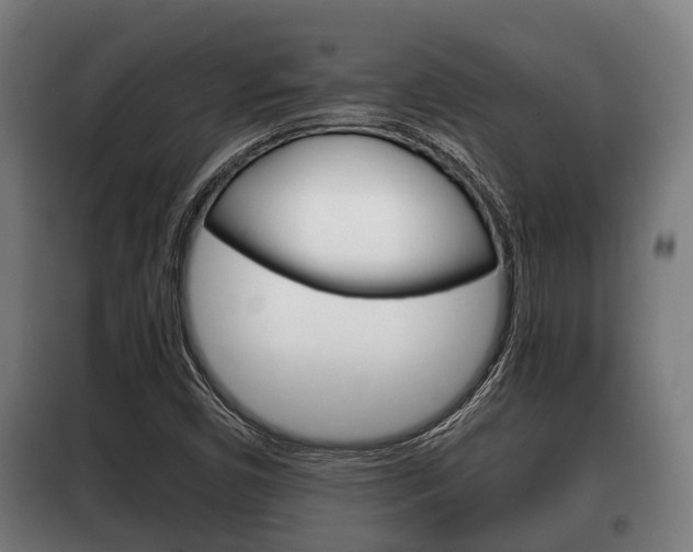 X0000100411450200806060914