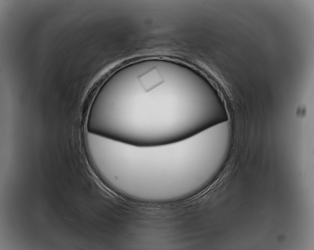 X0000100411452200806060914