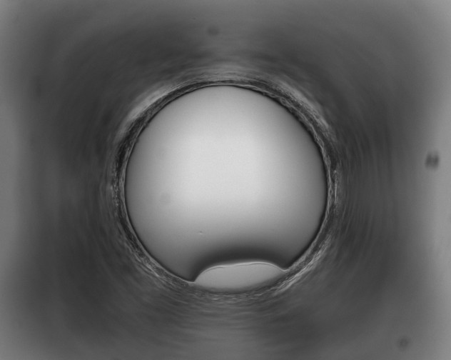 X0000100411453200806060914