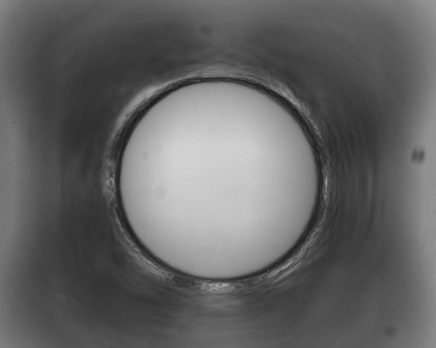 X0000100411454200806060914