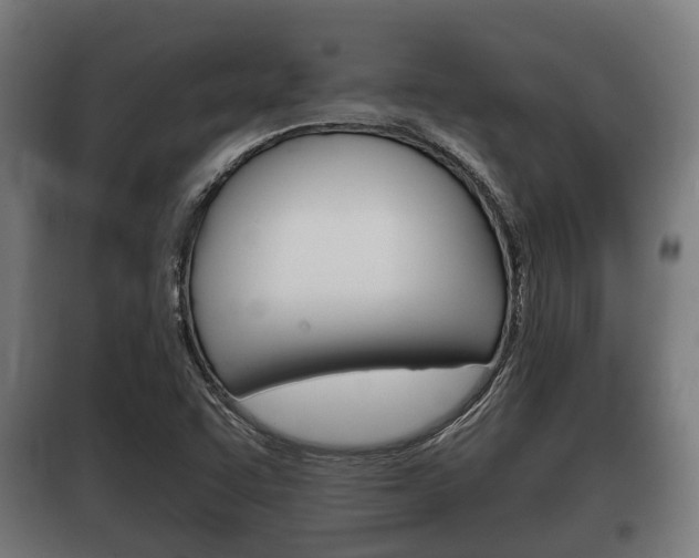 X0000100411455200806060914