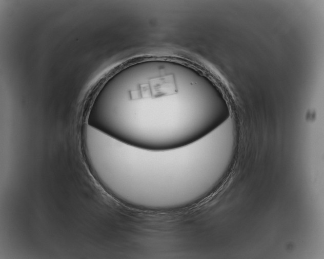 X0000100411456200806060914