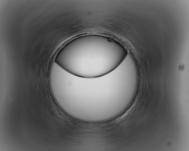 X0000100411457200806060914